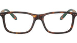 PH2273 6137 Brown Tortoise