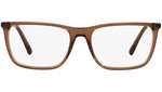 VE3301 5028 transparent brown