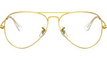 Aviator Optics RB6489 3086