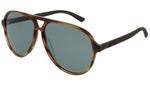 GG0423S brown tortoise and green