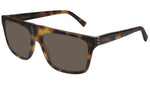 GG0450S shiny tortoise and brown