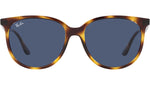 RB4378 710/80 tortoise