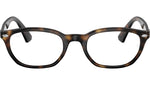 RY1599 3685 Tortoise