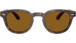 Sheldrake Sun OV5036S 180153