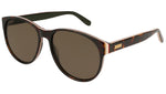 GG0271S multicolor tortoise and brown