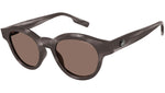 MB0200S 003 tortoise brown