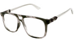 GG1035O 003 grey tortoise