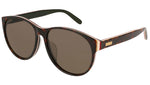 GG0271SA multicolor tortoise and brown
