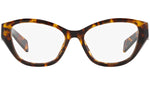 PR 21ZV 14L1O1 honey tortoise