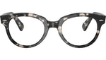 RB2199V Optics 8117