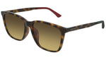GG0404SA shiny tortoise and double brown/orange