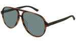 GG0423SA brown tortoise and green