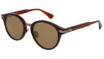 GG0066S ruthenium tortoise and brown smoke