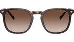 VO5328S W65613 dark havana