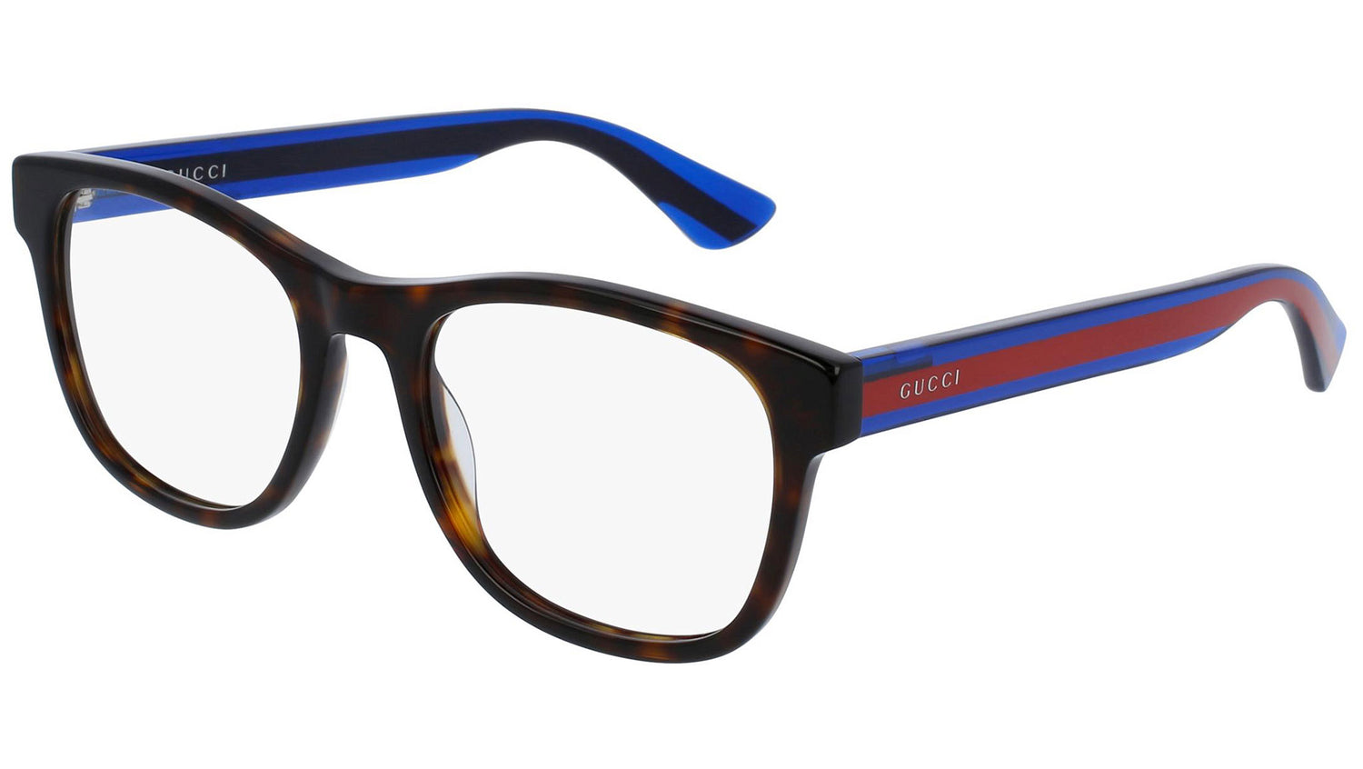 GG0004O 003 shiny tortoise