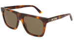 GG0347S shiny tortoise and brown