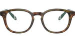 PH2267 5017 Brown Tortoise