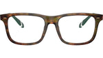 PH2270U 5017 Brown Tortoise
