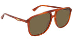 GG0262S light tortoise and brown