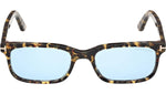 Scout-02 FT1480 56V