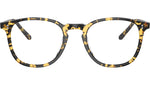 Finley 1993 OV5491U 1778 Tokyo Tortoise