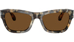 PO0091S 107157 Brown Tortoise