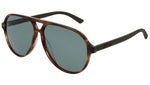 GG0423S brown tortoise and green