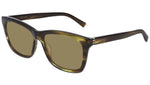 GG0449S brown tortoise and nicotine
