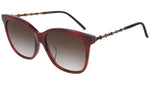 GG0655SA red tortoise and brown