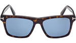 Buckley-02 FT0906 52V Dark Havana Blue
