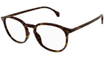 GG0551O 010 dark tortoise