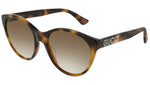 GG0419S shiny tortoise and brown
