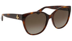 GG0097S shiny tortoise and brown