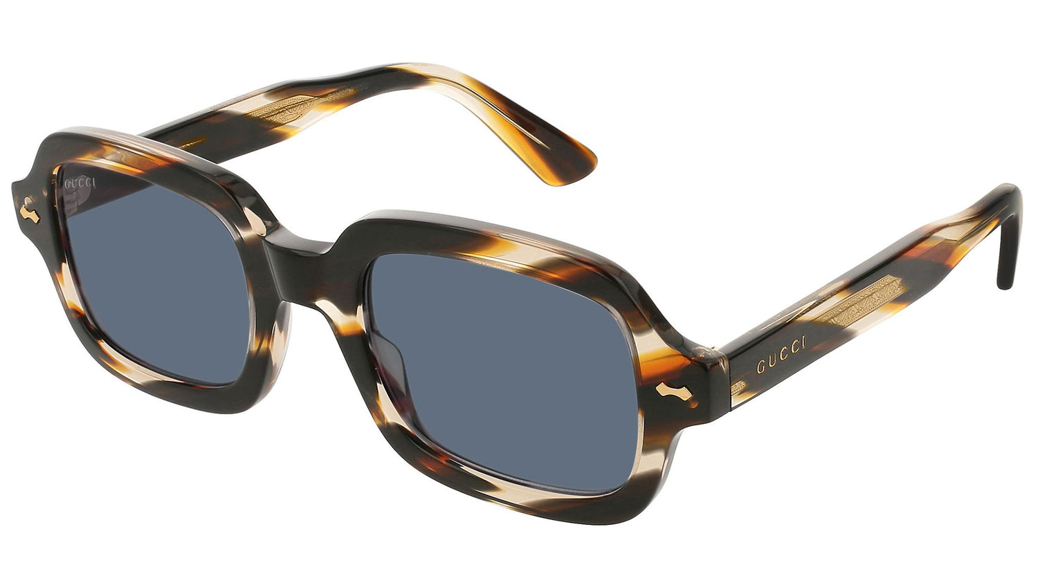 GG0072S shiny tortoise and blue