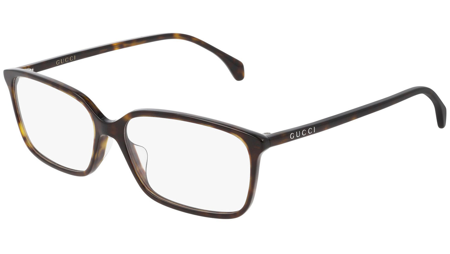 GG0553OA 006 dark tortoise
