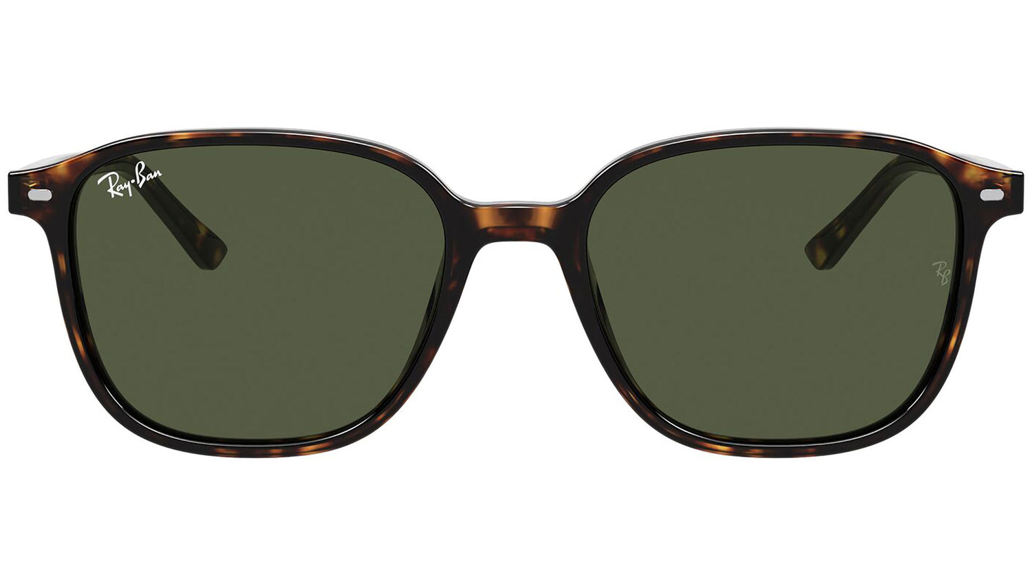 Leonard RB2193 tortoise