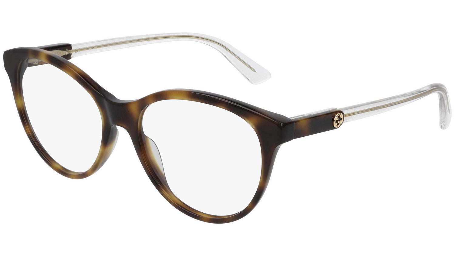 GG0486O 003 shiny tortoise