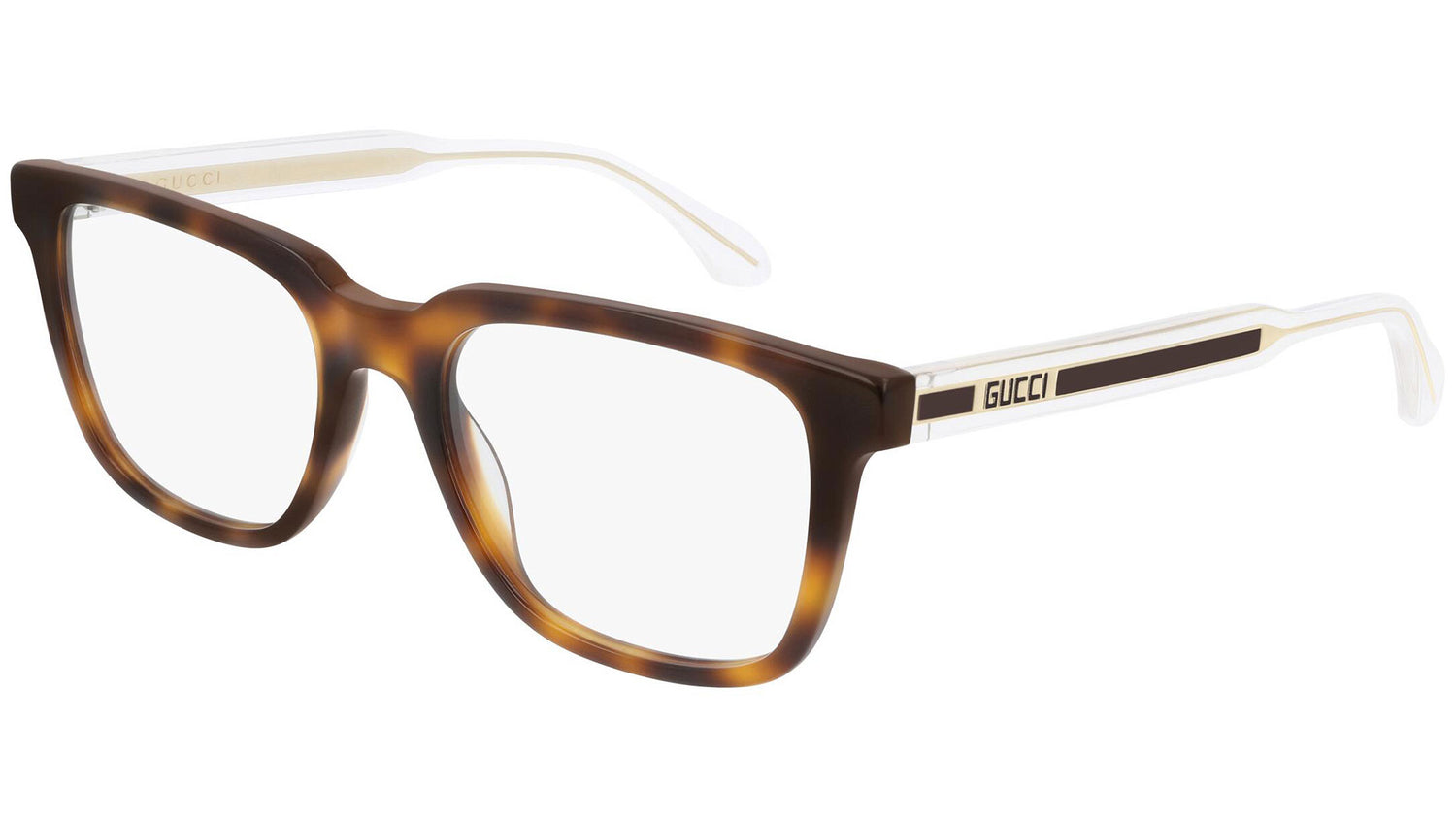 GG0560O 002 shiny tortoise