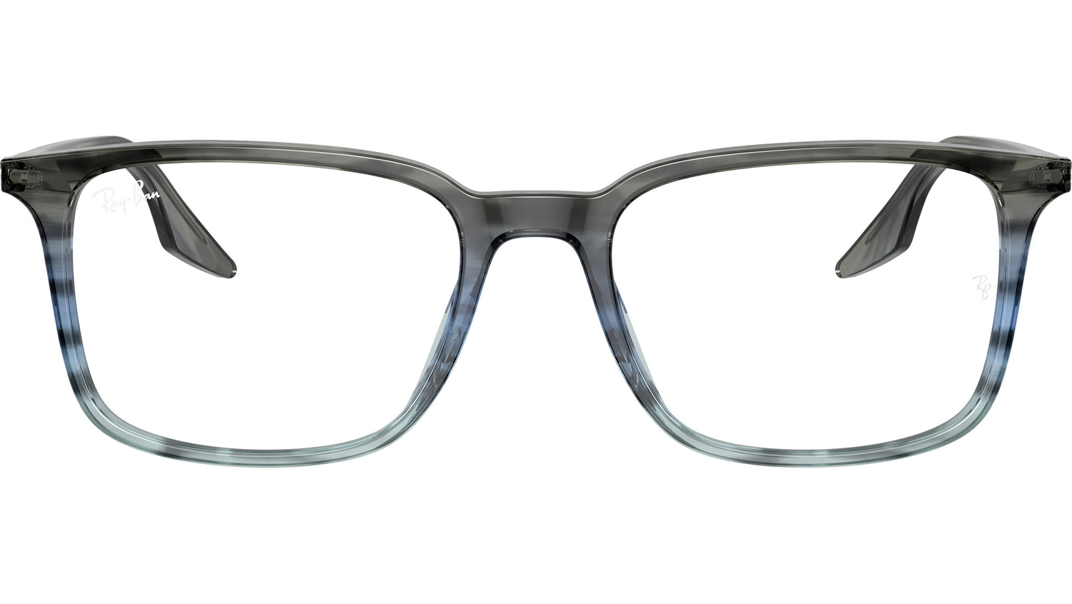 RB5421 Optics 8254