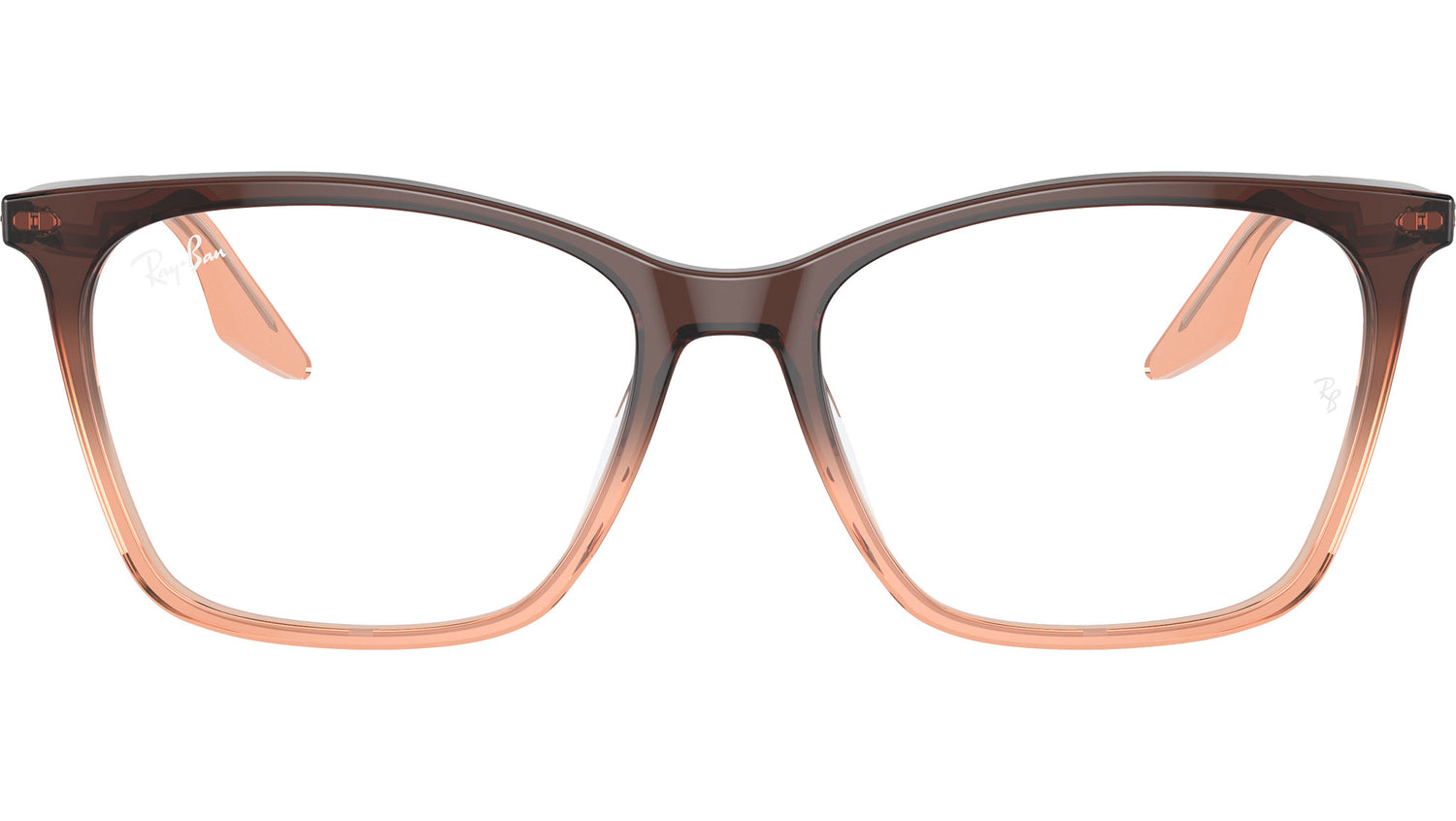 RB5422 Optics 8312