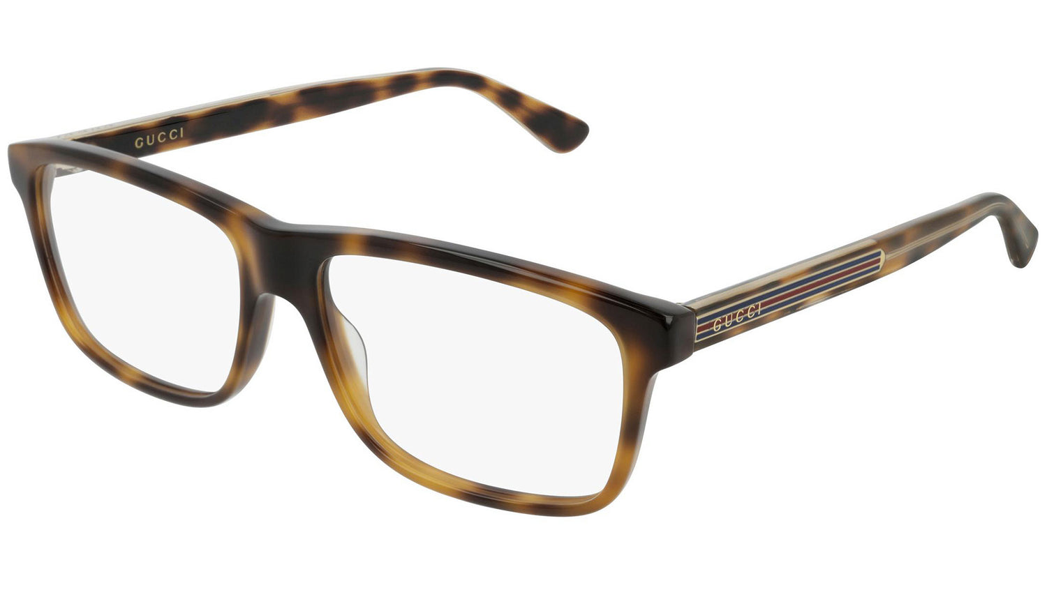 GG0384O 006 shiny tortoise