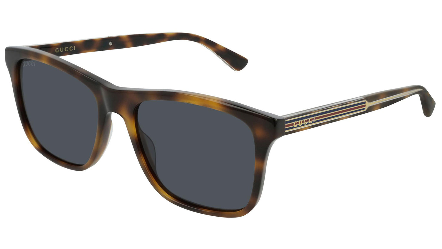 GG0381S shiny tortoise and blue
