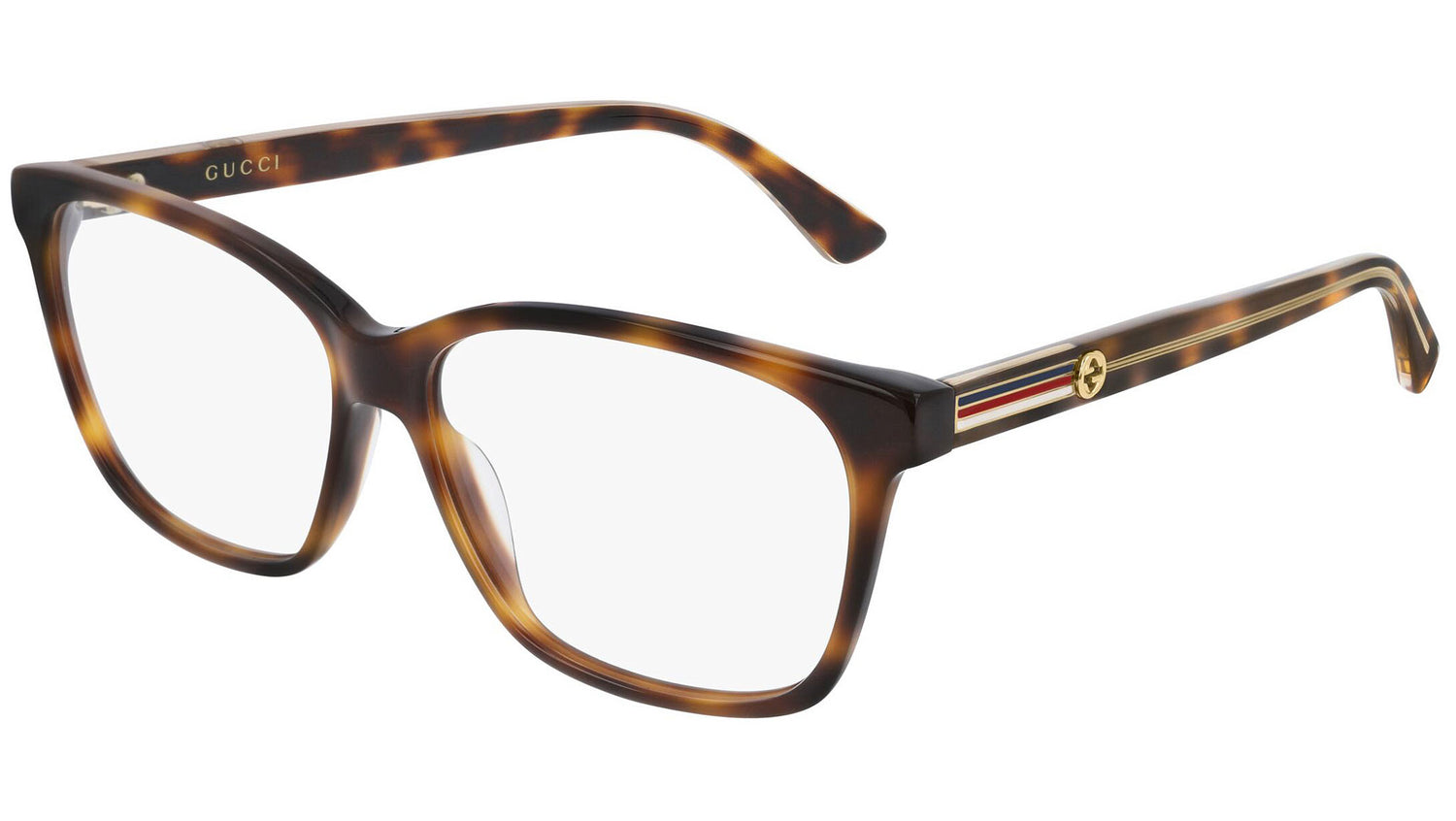 GG0532O 007 shiny tortoise