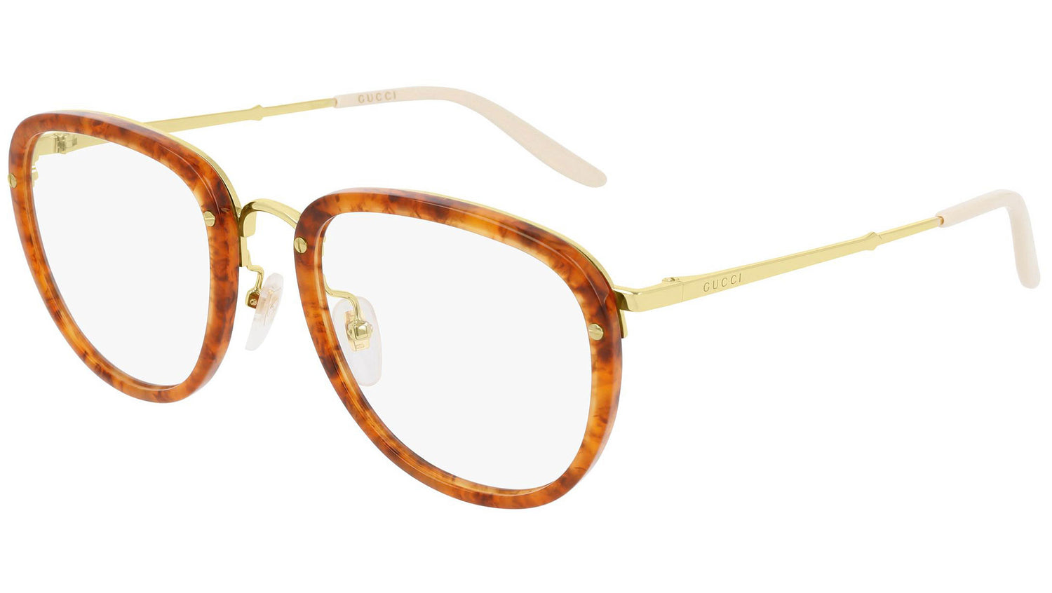 GG0675O 005 shiny tortoise