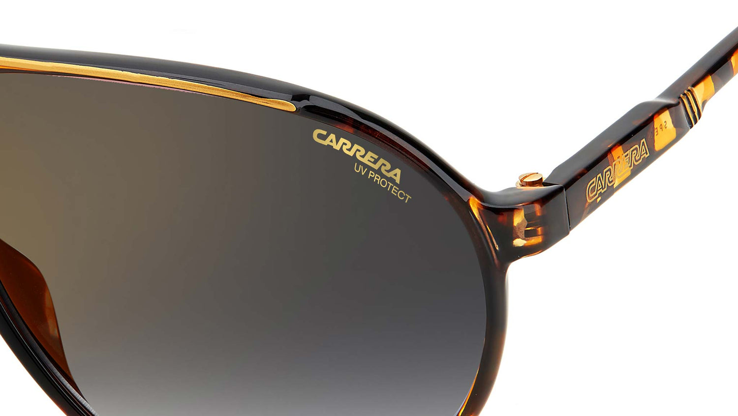 CHAMPION65/N WR9 brown havana