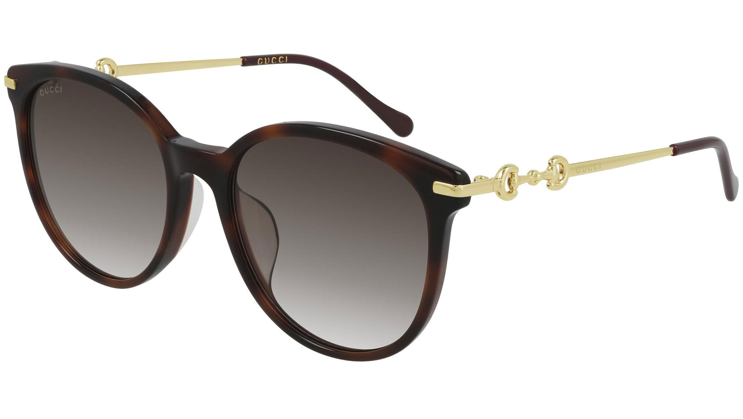 GG0885SA 002 shiny tortoise