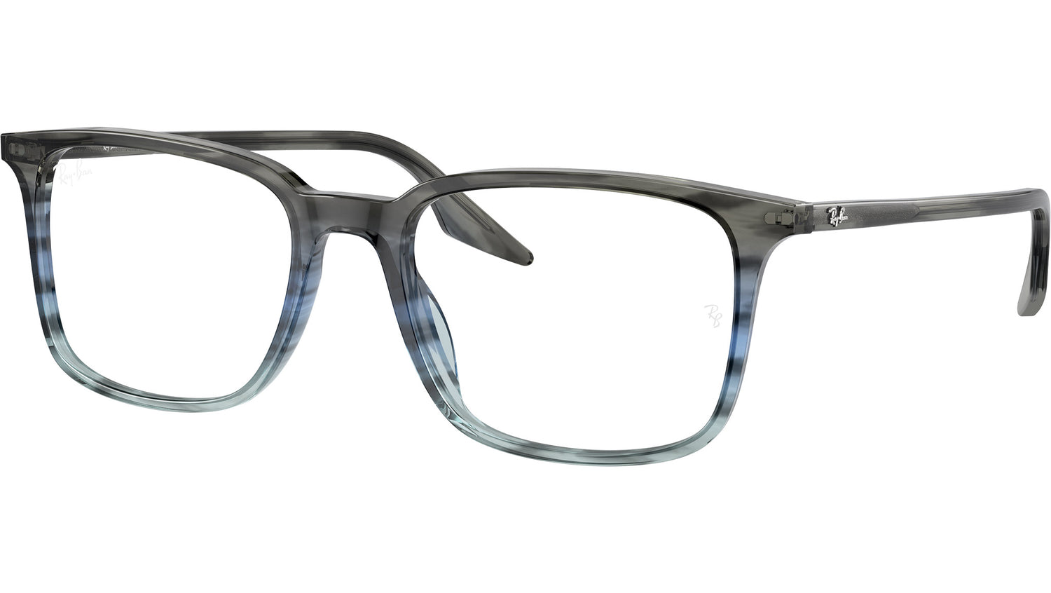 RB5421 Optics 8254