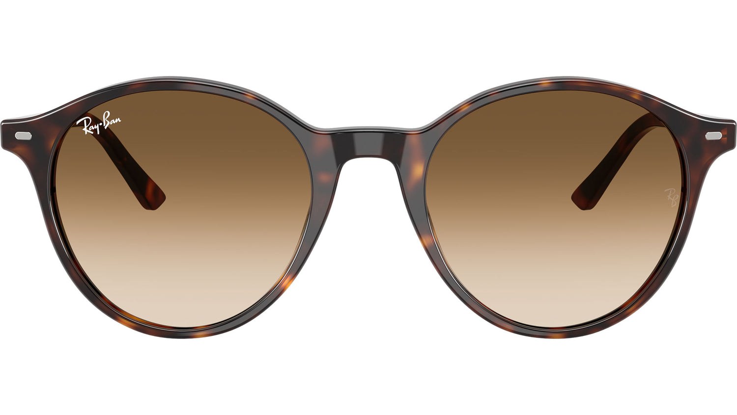 Bernard RB2230 902/51 Havana