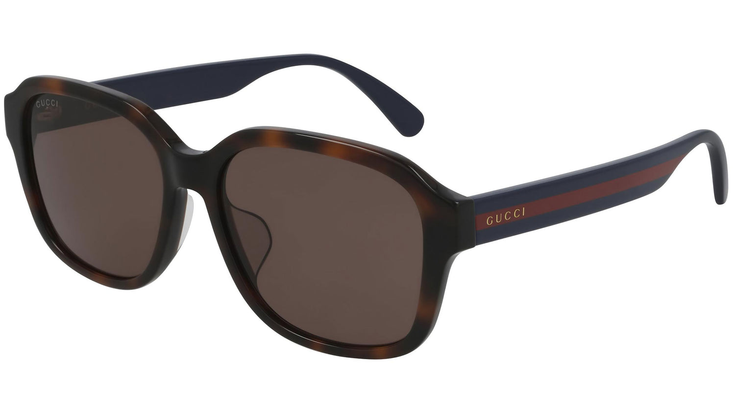 GG0929SA 002 shiny tortoise