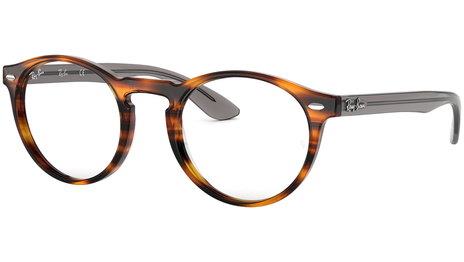 RB5283 tortoise
